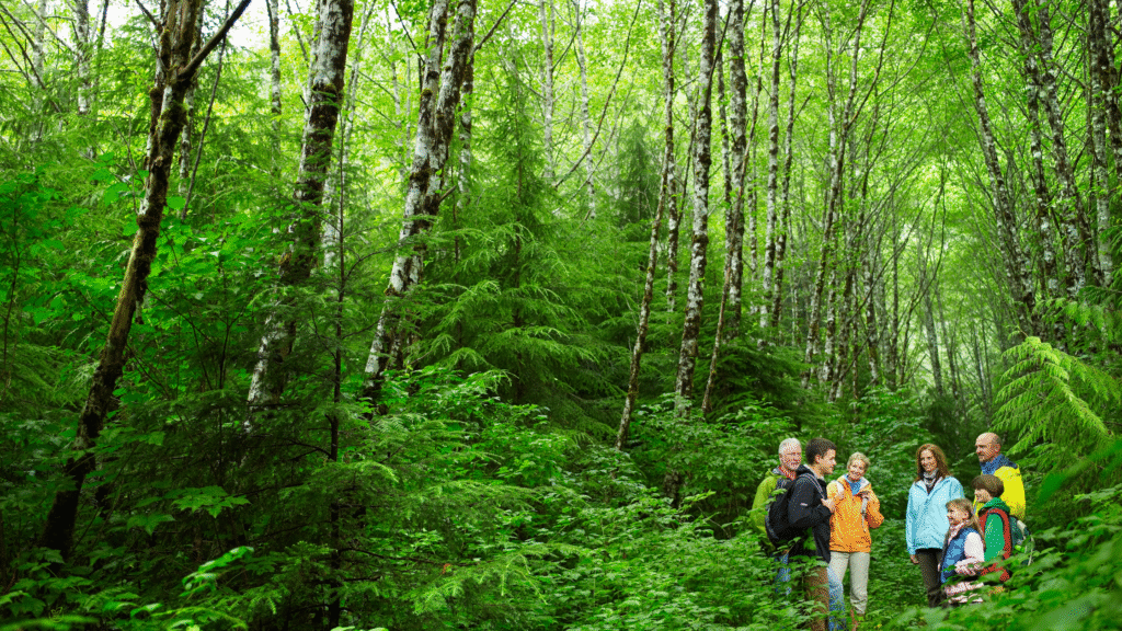 Group of eco travelers walking through a lush green forest — eco friendly tours promoting responsible travel and nature conservation in 2025