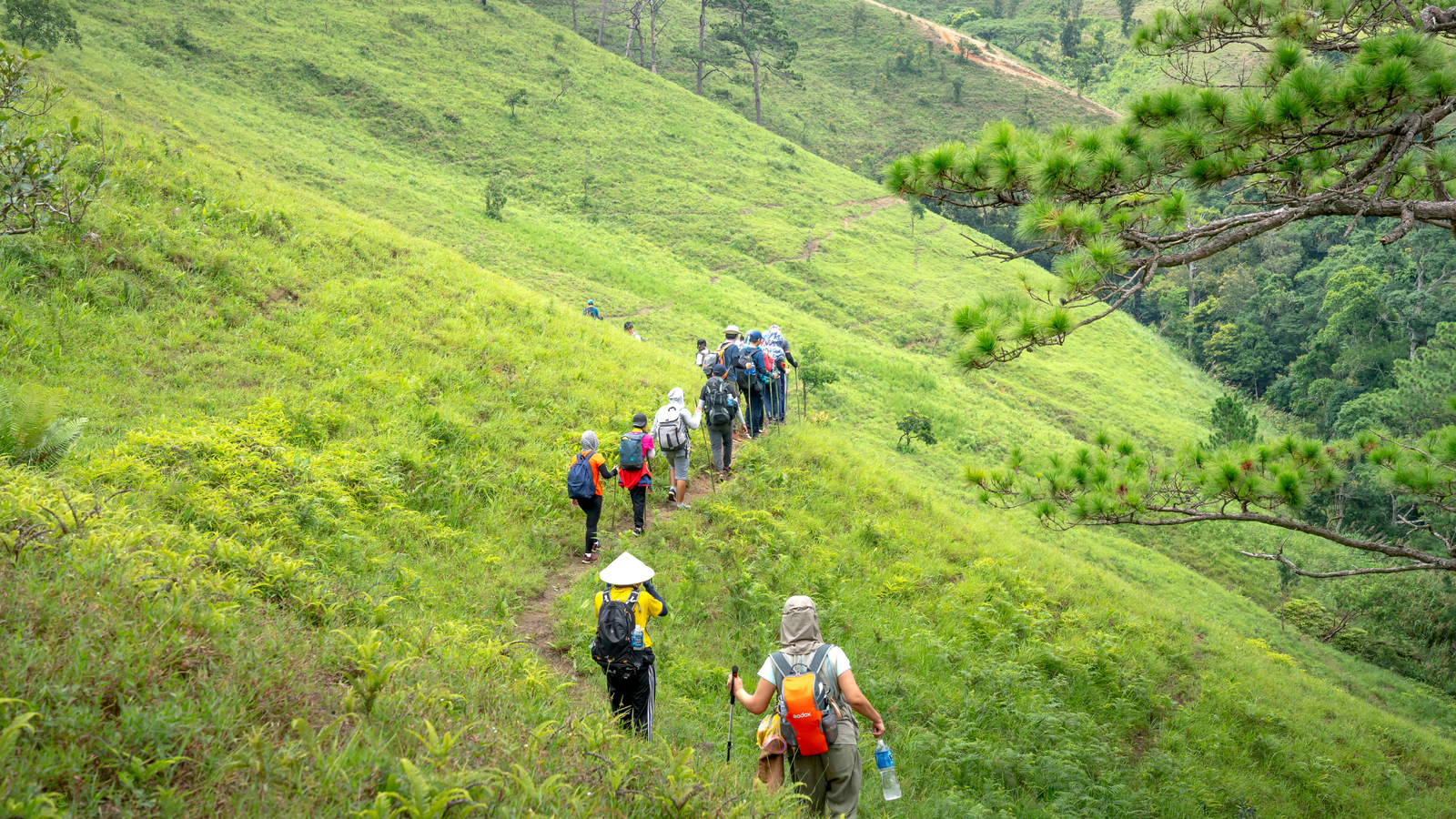 Small group of eco travelers hiking along a mountain slope — responsible eco friendly tours focused on conservation and education in 2025