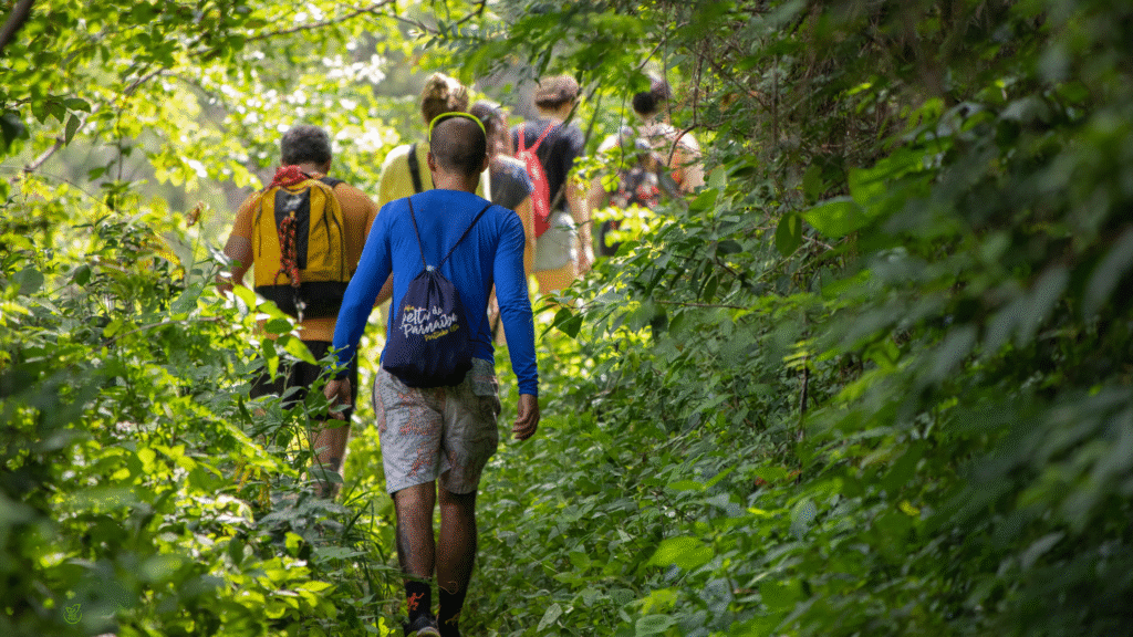 Group of eco travelers guided through forest — understanding what makes tours truly sustainable in 2025