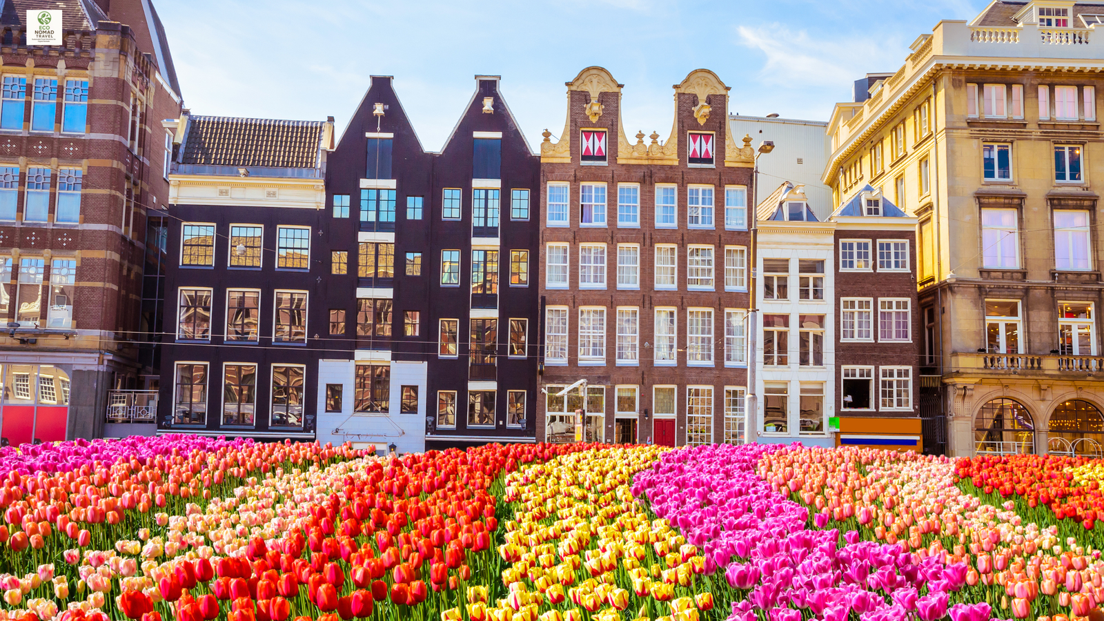 Amsterdam Netherlands cycling digital nomad eco city 2025 canals and coworking