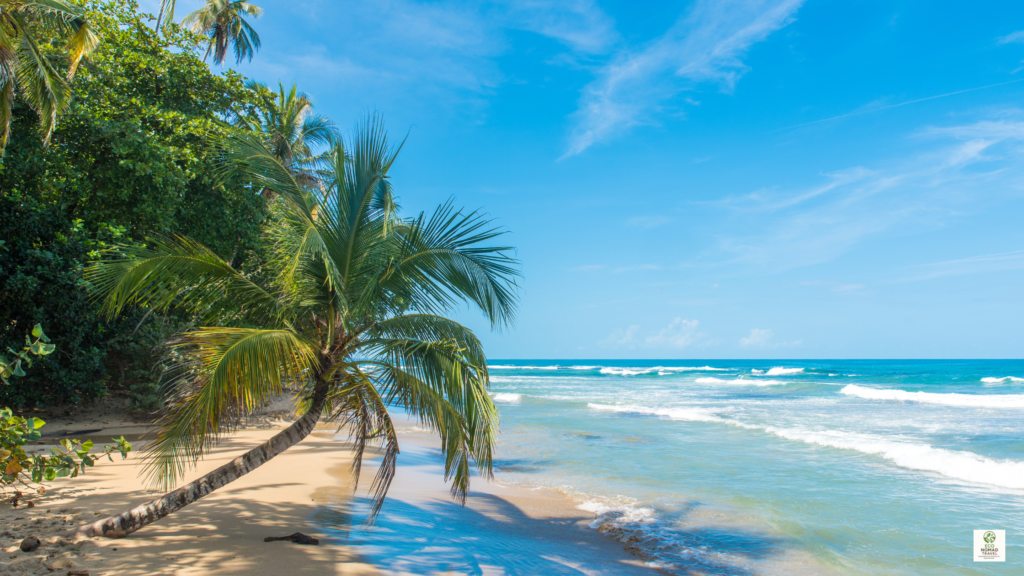 sustainable tourism costa rica playa chiquita beach for Sustainable Tourism Costa Rica A Traveler s Guide
